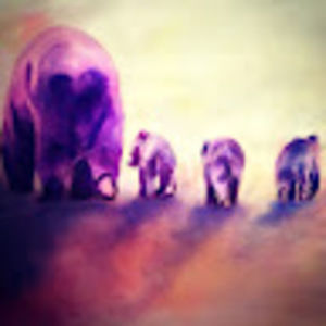 Meet your Posher, Al